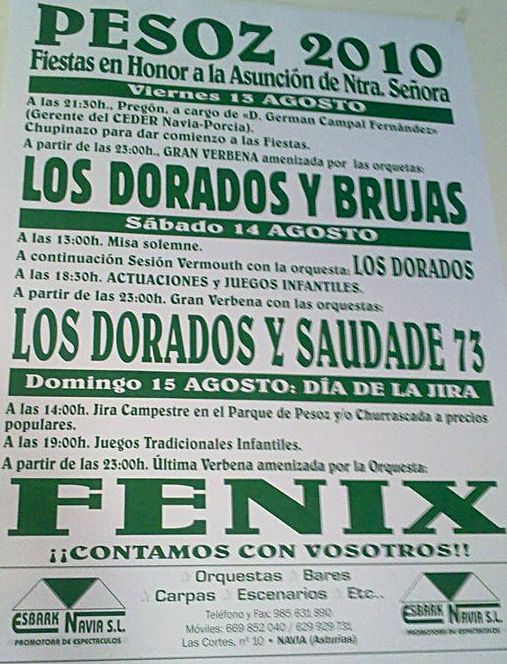 Cartel Fiestas Pesoz 2010