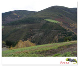 Paisaje desde Pesoz